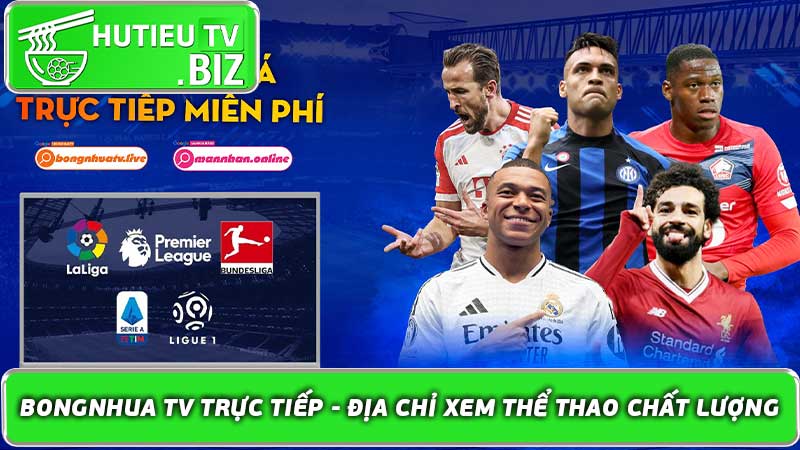 Bongnhua TV Trực Tiếp - Địa Chỉ Xem Thể Thao Chất Lượng