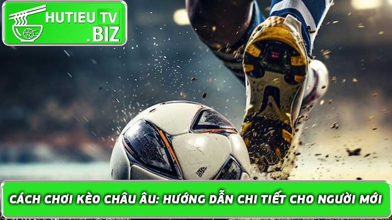 Cách Chơi Kèo Châu Âu Hướng Dẫn Chi Tiết Cho Người Mới