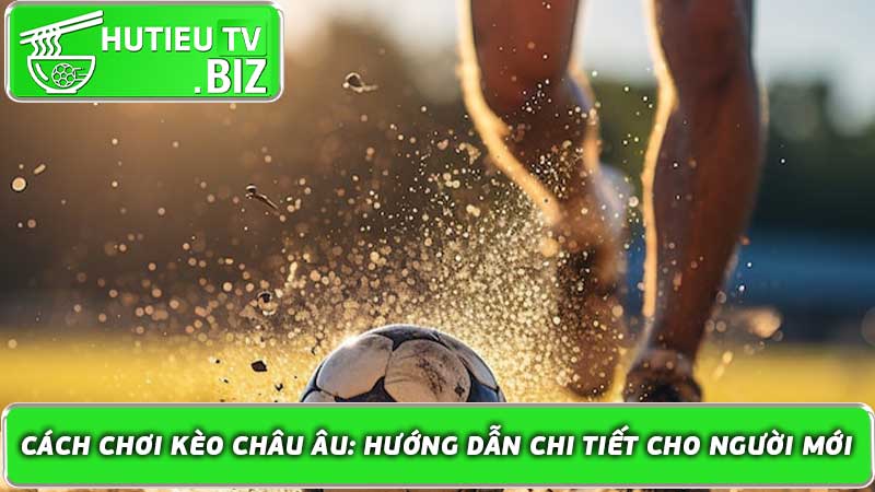 Cách Chơi Kèo Châu Âu Hướng Dẫn Chi Tiết Cho Người Mới