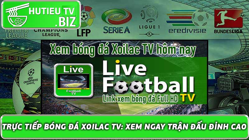 Trực tiếp bóng đá Xoilac TV: Xem ngay trận đấu đỉnh cao