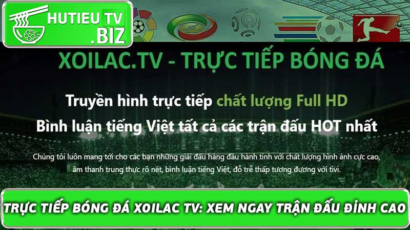 Trực tiếp bóng đá Xoilac TV: Xem ngay trận đấu đỉnh cao